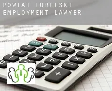 Powiat lubelski  employment lawyer