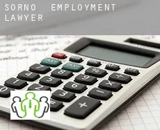 Sorno  employment lawyer