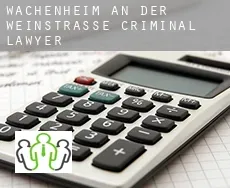 Wachenheim an der Weinstraße  criminal lawyer