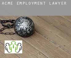 Acme  employment lawyer