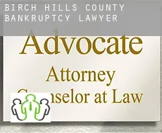 Birch Hills County  bankruptcy lawyer