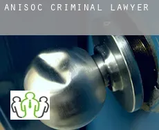 Añisoc  criminal lawyer