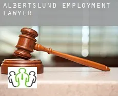 Albertslund  employment lawyer