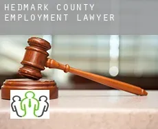 Hedmark county  employment lawyer