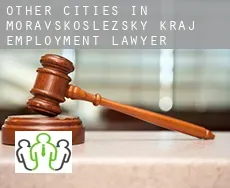 Other cities in Moravskoslezsky kraj  employment lawyer