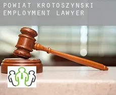 Powiat krotoszyński  employment lawyer