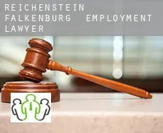 Reichenstein Falkenburg  employment lawyer