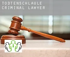 Todtenschläule  criminal lawyer