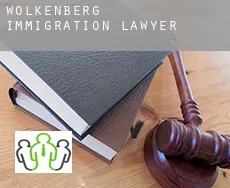 Wolkenberg  immigration lawyer