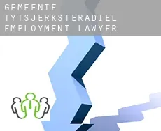 Gemeente Tytsjerksteradiel  employment lawyer