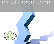 San Luis Potosí  lawyer