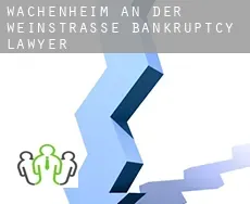 Wachenheim an der Weinstraße  bankruptcy lawyer