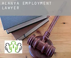 Alanya  employment lawyer