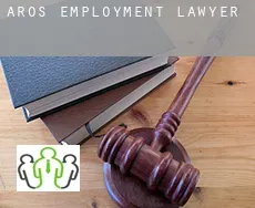 Åros  employment lawyer