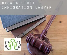 Lower Austria  immigration lawyer