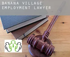 Banana Village  employment lawyer