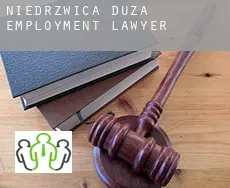 Niedrzwica Duża  employment lawyer