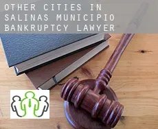 Other cities in Salinas Municipio  bankruptcy lawyer