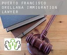 Puerto Francisco de Orellana  immigration lawyer