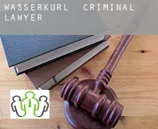 Wasserkurl  criminal lawyer