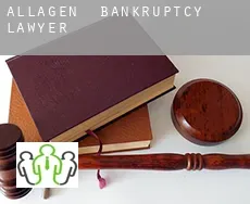 Allagen  bankruptcy lawyer