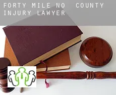 Forty Mile County  injury lawyer