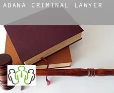 Adana  criminal lawyer