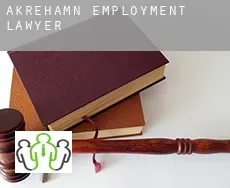 Åkrehamn  employment lawyer