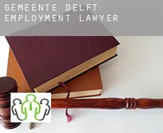 Gemeente Delft  employment lawyer