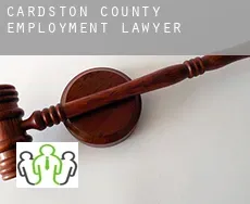 Cardston County  employment lawyer