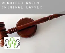 Wendisch Waren  criminal lawyer