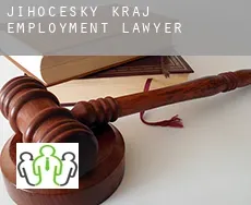 Jihočeský Kraj  employment lawyer