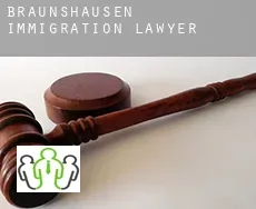 Braunshausen  immigration lawyer