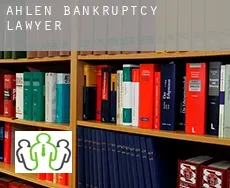 Ahlen  bankruptcy lawyer