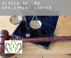 Acadia M.District  employment lawyer