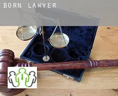 Born  lawyer