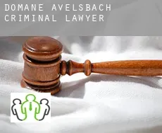 Domäne Avelsbach  criminal lawyer