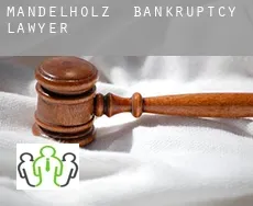 Mandelholz  bankruptcy lawyer