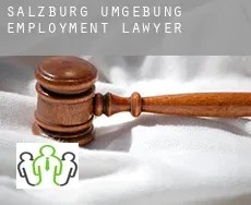 Politischer Bezirk Salzburg Umgebung  employment lawyer