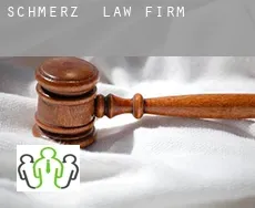 Schmerz  law firm