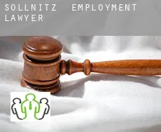 Sollnitz  employment lawyer