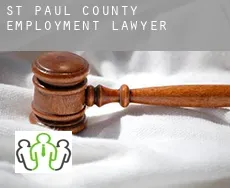 St. Paul County  employment lawyer