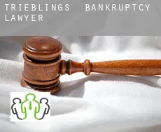 Trieblings  bankruptcy lawyer