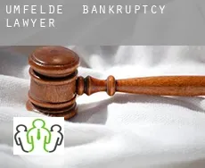 Umfelde  bankruptcy lawyer