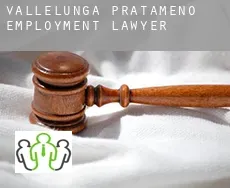 Vallelunga Pratameno  employment lawyer