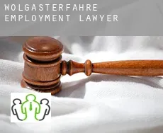 Wolgasterfähre  employment lawyer