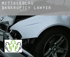 Mitteledlau  bankruptcy lawyer