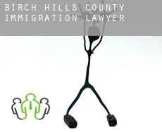 Birch Hills County  immigration lawyer