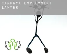 Çankaya  employment lawyer