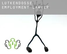 Lütkendosse  employment lawyer